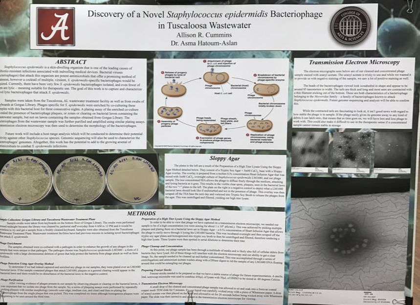 URCA Poster from Student in Biology Department